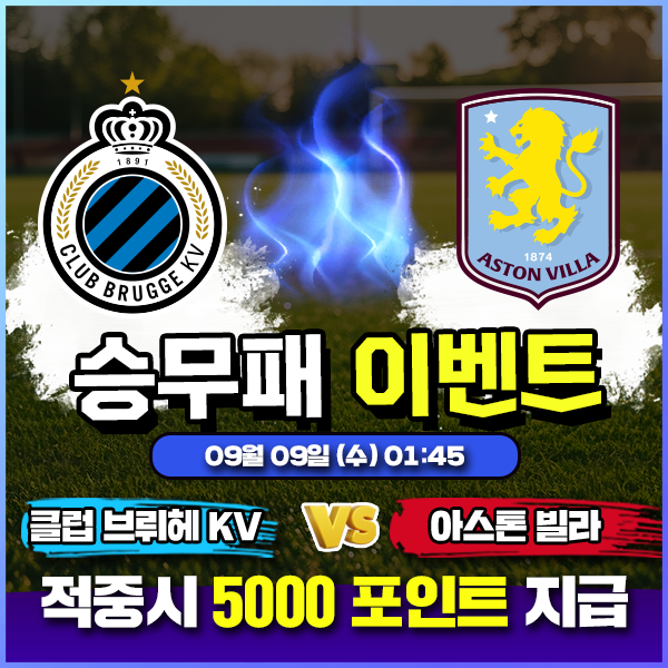 보증업체 댓글후기 이벤트