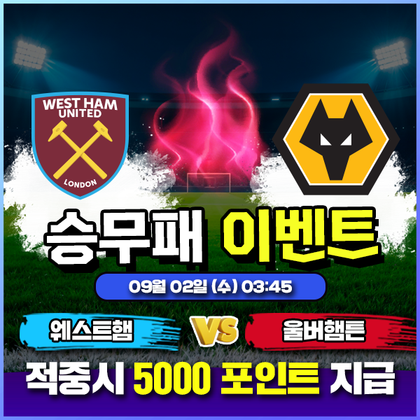 보증업체 댓글후기 이벤트